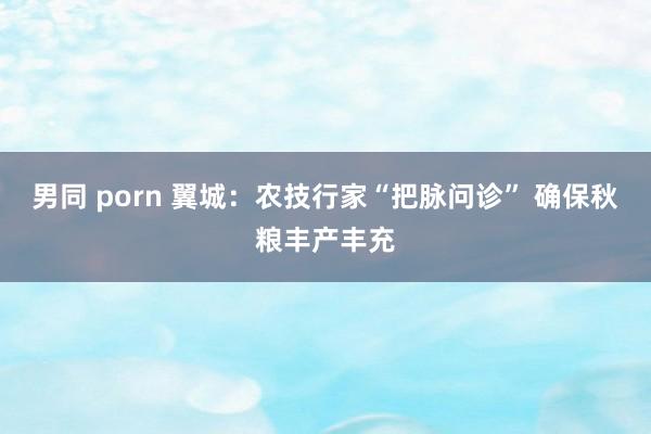 男同 porn 翼城：农技行家“把脉问诊” 确保秋粮丰产丰充