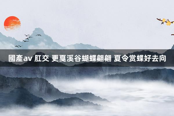 國產av 肛交 更戛溪谷蝴蝶翩翩 夏令赏蝶好去向