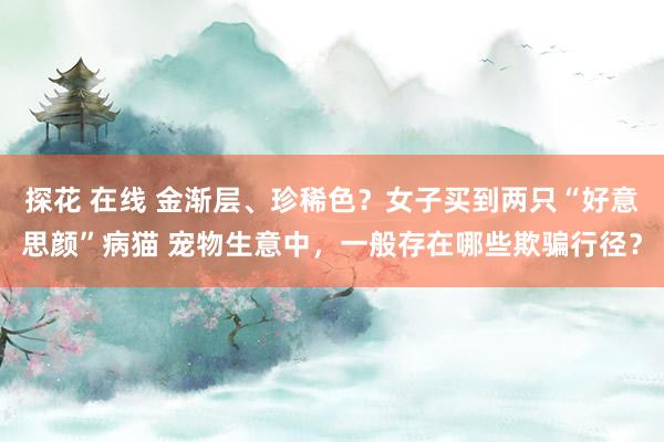 探花 在线 金渐层、珍稀色？女子买到两只“好意思颜”病猫 宠物生意中，一般存在哪些欺骗行径？
