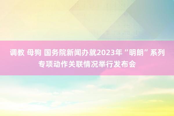 调教 母狗 国务院新闻办就2023年“明朗”系列专项动作关联情况举行发布会