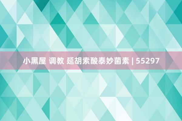 小黑屋 调教 延胡索酸泰妙菌素 | 55297