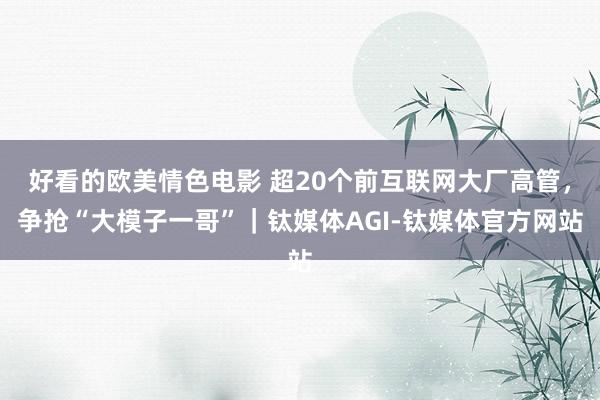 好看的欧美情色电影 超20个前互联网大厂高管，争抢“大模子一哥”｜钛媒体AGI-钛媒体官方网站