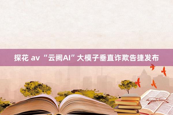 探花 av “云阙AI”大模子垂直诈欺告捷发布