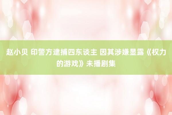 赵小贝 印警方逮捕四东谈主 因其涉嫌显露《权力的游戏》未播剧集
