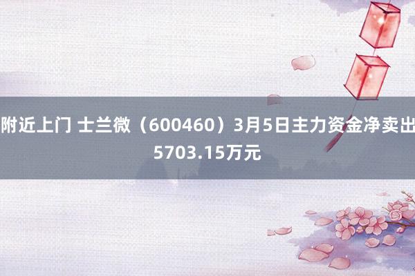 附近上门 士兰微（600460）3月5日主力资金净卖出5703.15万元