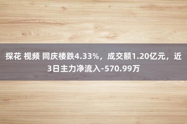 探花 视频 同庆楼跌4.33%，成交额1.20亿元，近3日主力净流入-570.99万