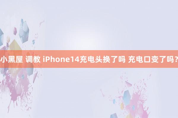 小黑屋 调教 iPhone14充电头换了吗 充电口变了吗？