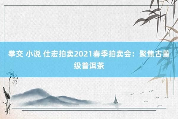 拳交 小说 仕宏拍卖2021春季拍卖会：聚焦古董级普洱茶