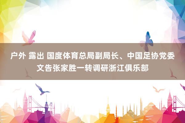 户外 露出 国度体育总局副局长、中国足协党委文告张家胜一转调研浙江俱乐部